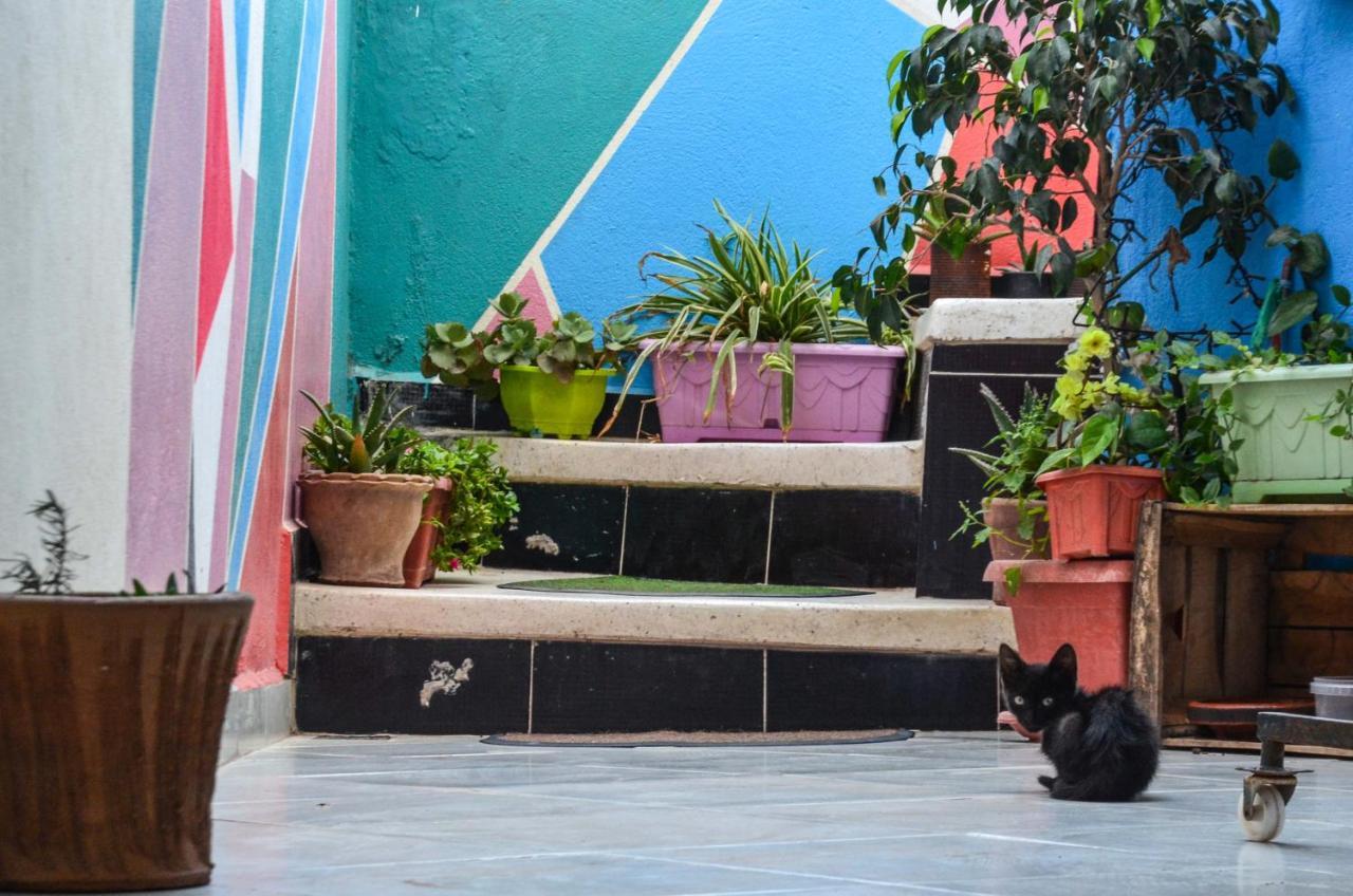 Tayought Surf Hostel Taghazout Exterior foto